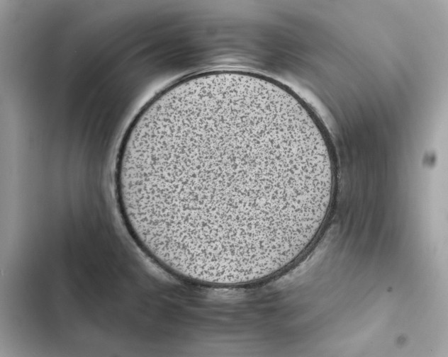 X0000101991333200808151415