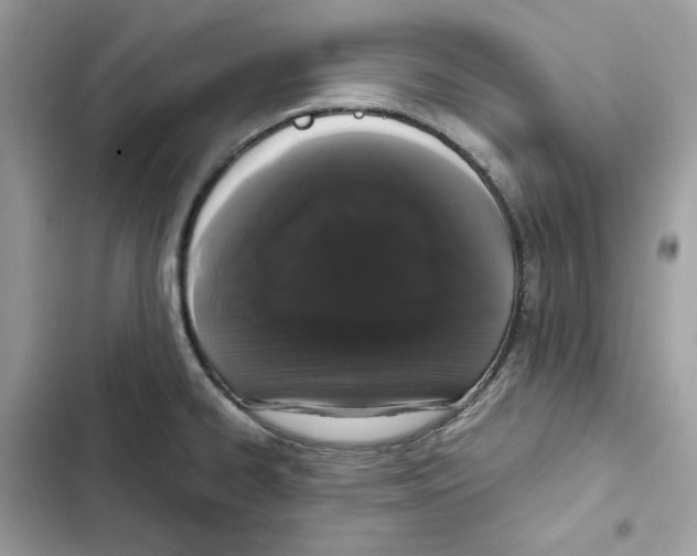 X0000101991334200808151415