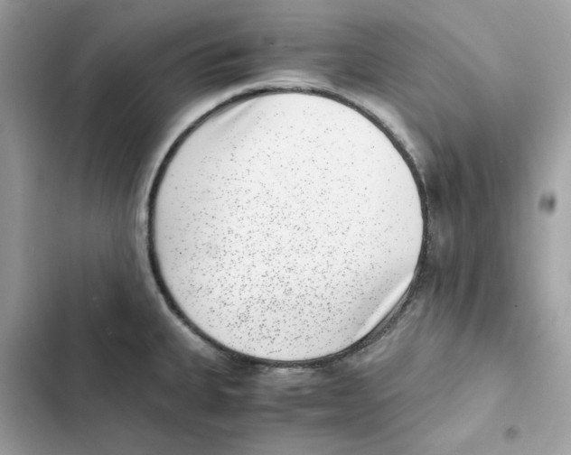 X0000101991335200808151415