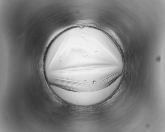 X0000101991336200808151415