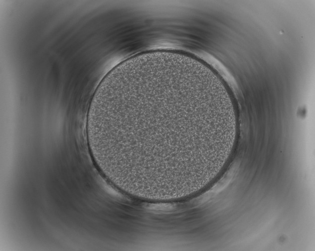 X0000101991337200808151415