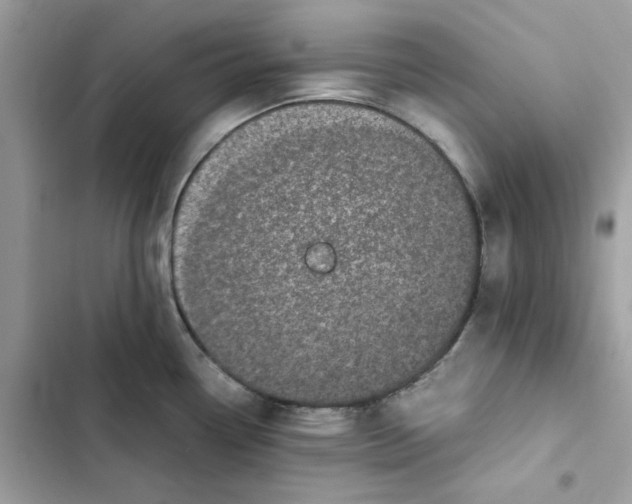 X0000101991338200808151415