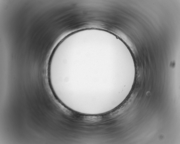 X0000101991339200808151415