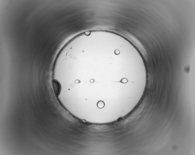 X0000101991340200808151415