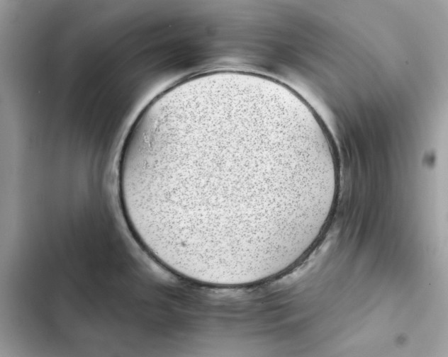 X0000101991341200808151415
