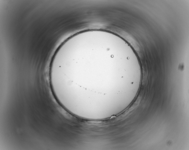 X0000101991342200808151415