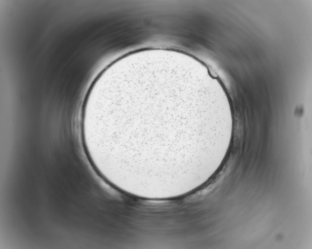 X0000101991343200808151415