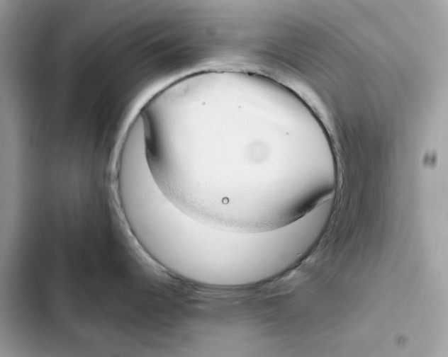 X0000101991344200808151415