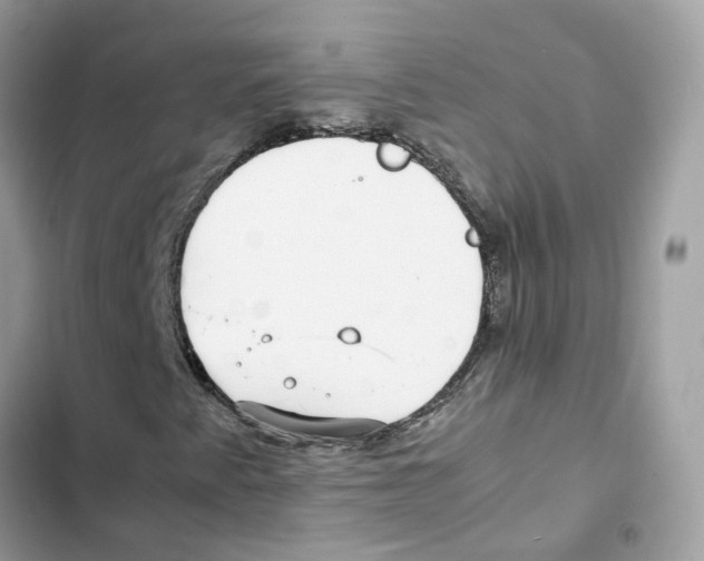 X0000101991345200808151414