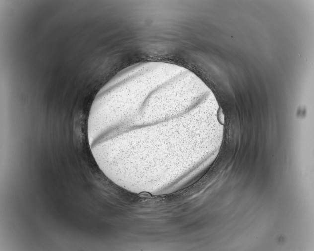 X0000101991346200808151414
