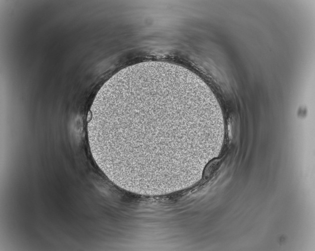 X0000101991347200808151414