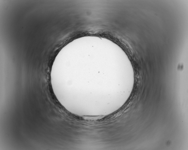 X0000101991349200808151414
