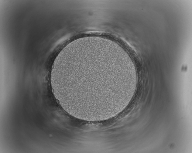 X0000101991351200808151414