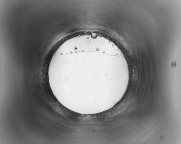 X0000101991352200808151414