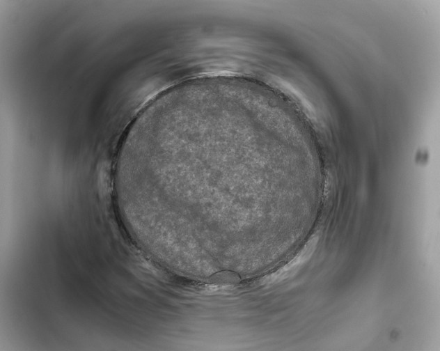 X0000101991353200808151414