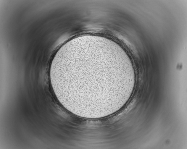 X0000101991354200808151414