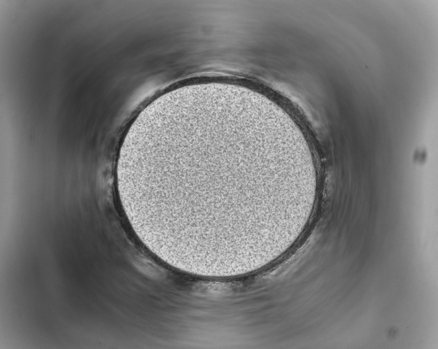 X0000101991355200808151414