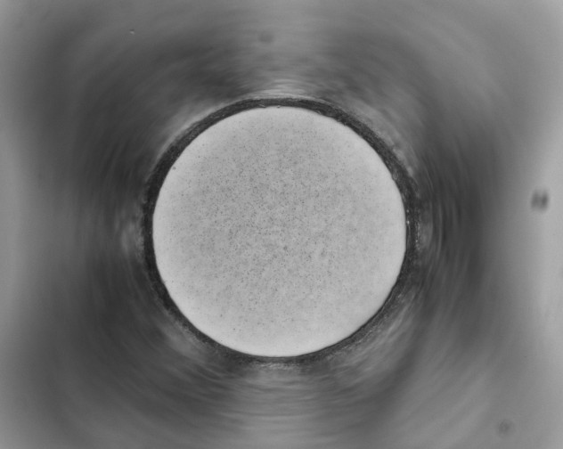 X0000101991356200808151414