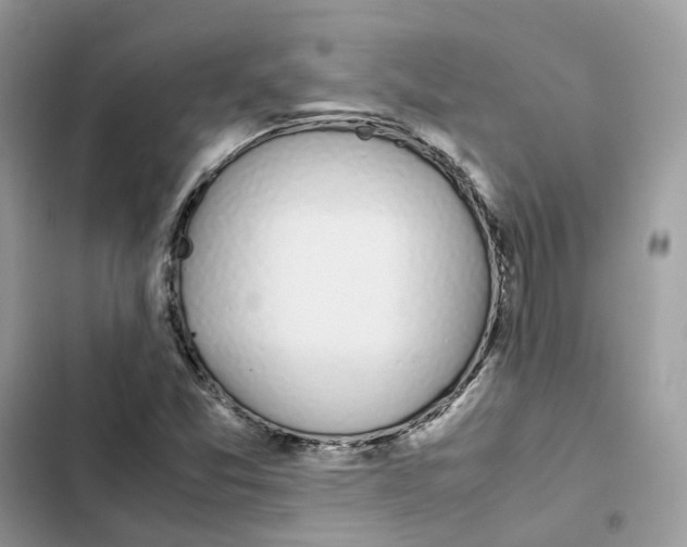X0000101991357200808151414