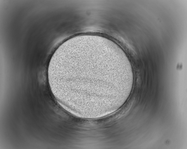 X0000101991358200808151414