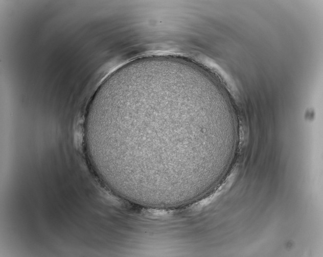 X0000101991361200808151414