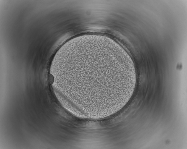 X0000101991362200808151414