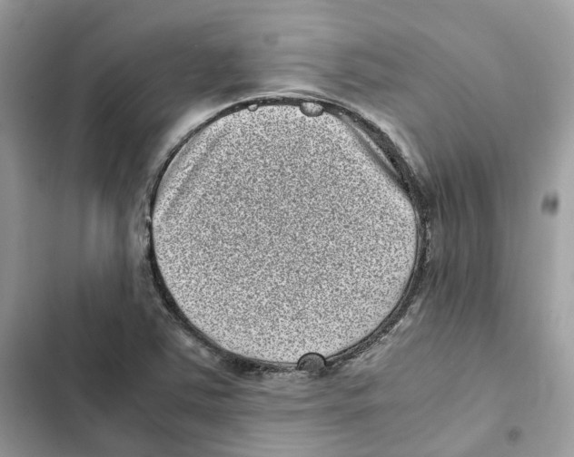 X0000101991363200808151414