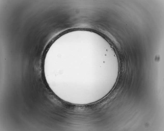 X0000101991364200808151414