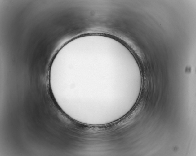 X0000101991366200808151414