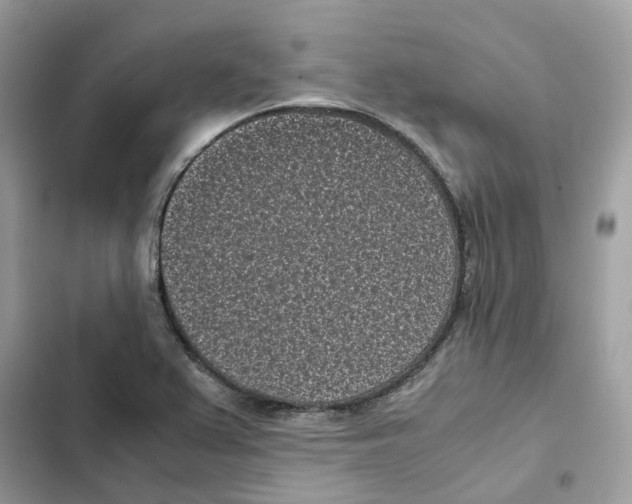 X0000101991367200808151414