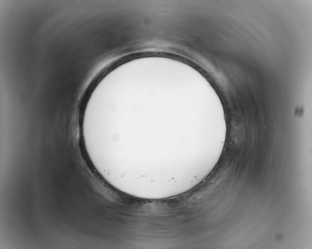X0000101991368200808151414