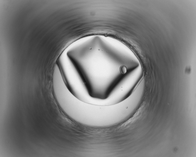 X0000101991369200808151414