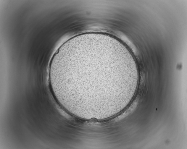 X0000101991370200808151414