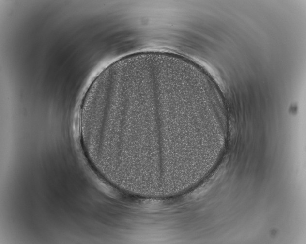 X0000101991371200808151414
