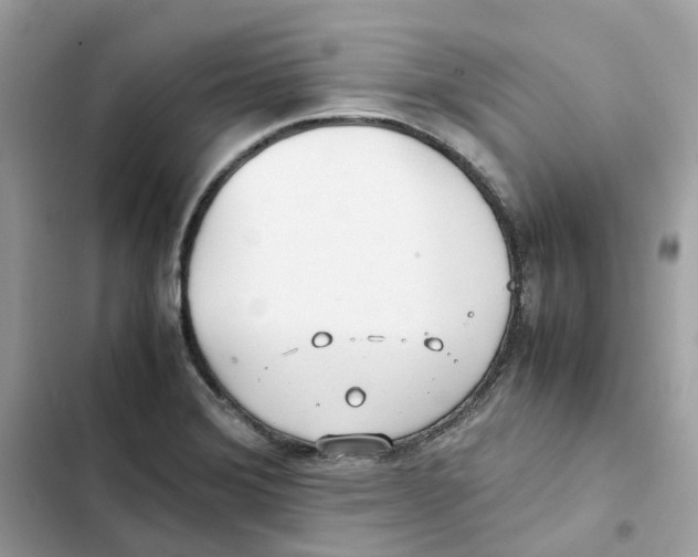 X0000101991372200808151414