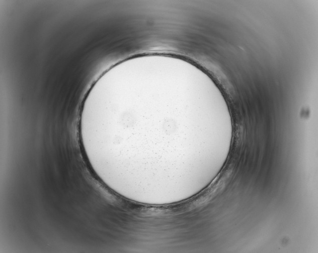 X0000101991374200808151414
