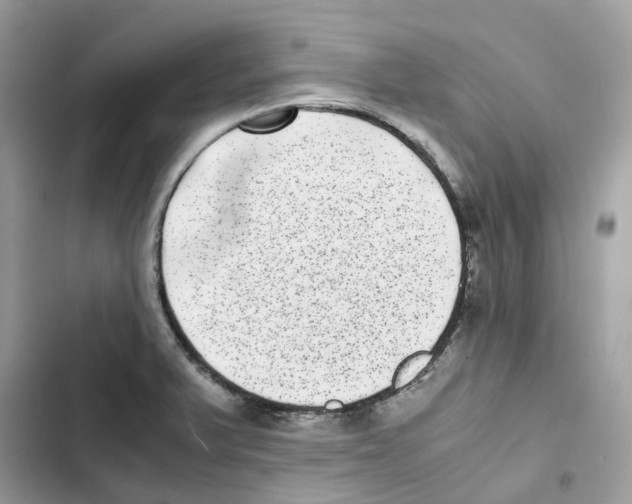X0000101991375200808151414