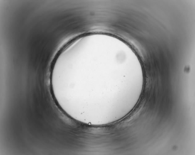 X0000101991376200808151414