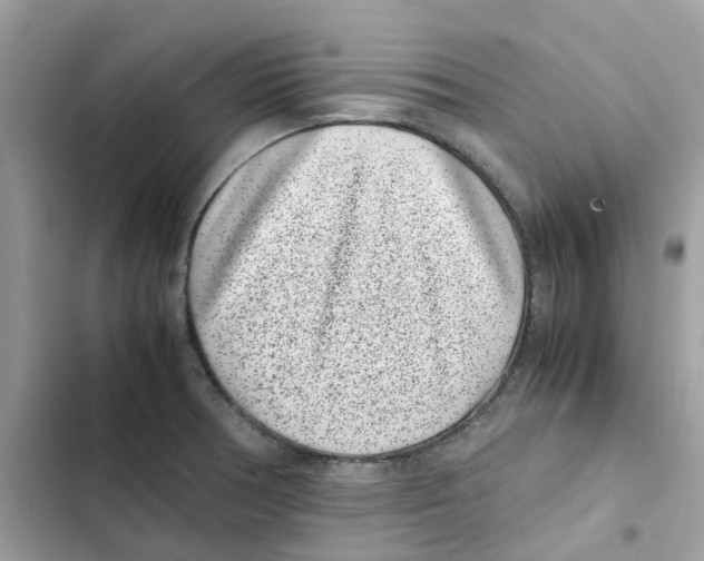 X0000101991378200808151414