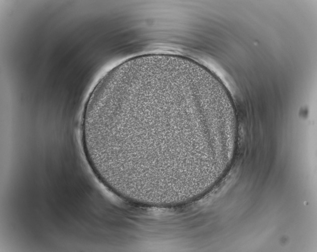X0000101991379200808151414