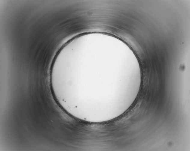 X0000101991380200808151414