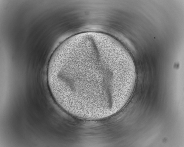 X0000101991382200808151414