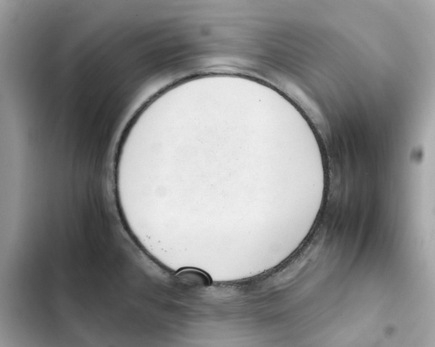 X0000101991384200808151414