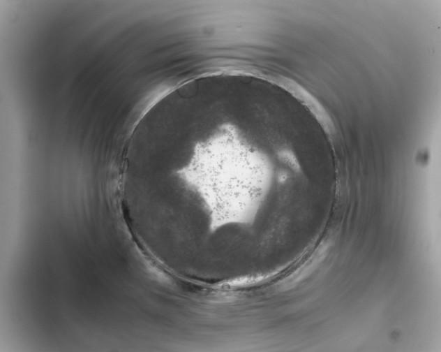 X0000101991385200808151414
