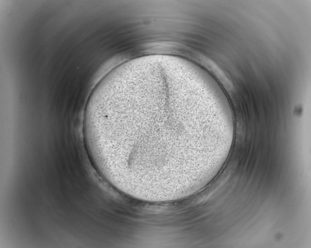 X0000101991386200808151414