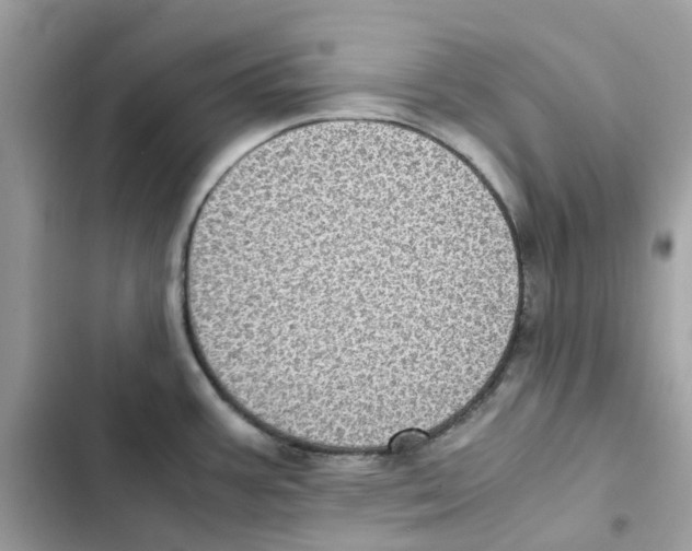 X0000101991387200808151414