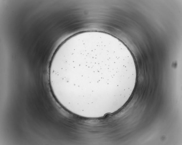 X0000101991388200808151414