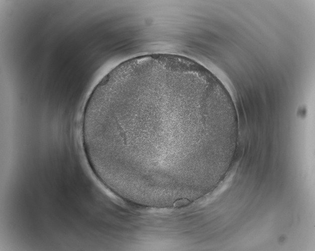 X0000101991389200808151414