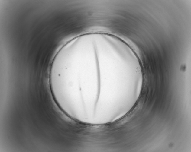 X0000101991390200808151414