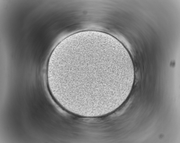X0000101991391200808151414